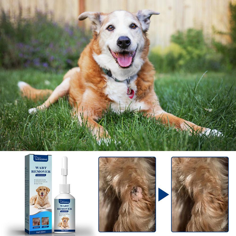 Haustiere Hund Warzen entferne – Skincare Animate Bewertung und Preis