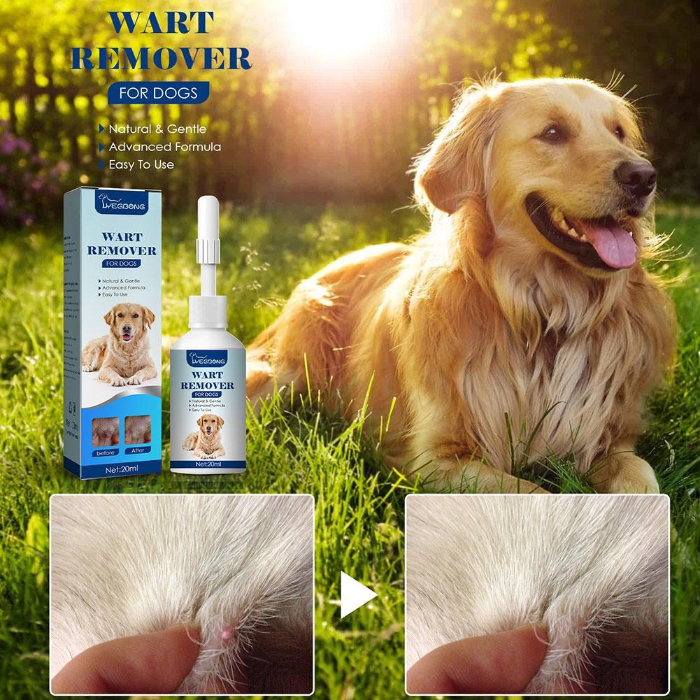 Haustiere Hund Warzen entferne – Skincare Animate Bewertung und Preis
