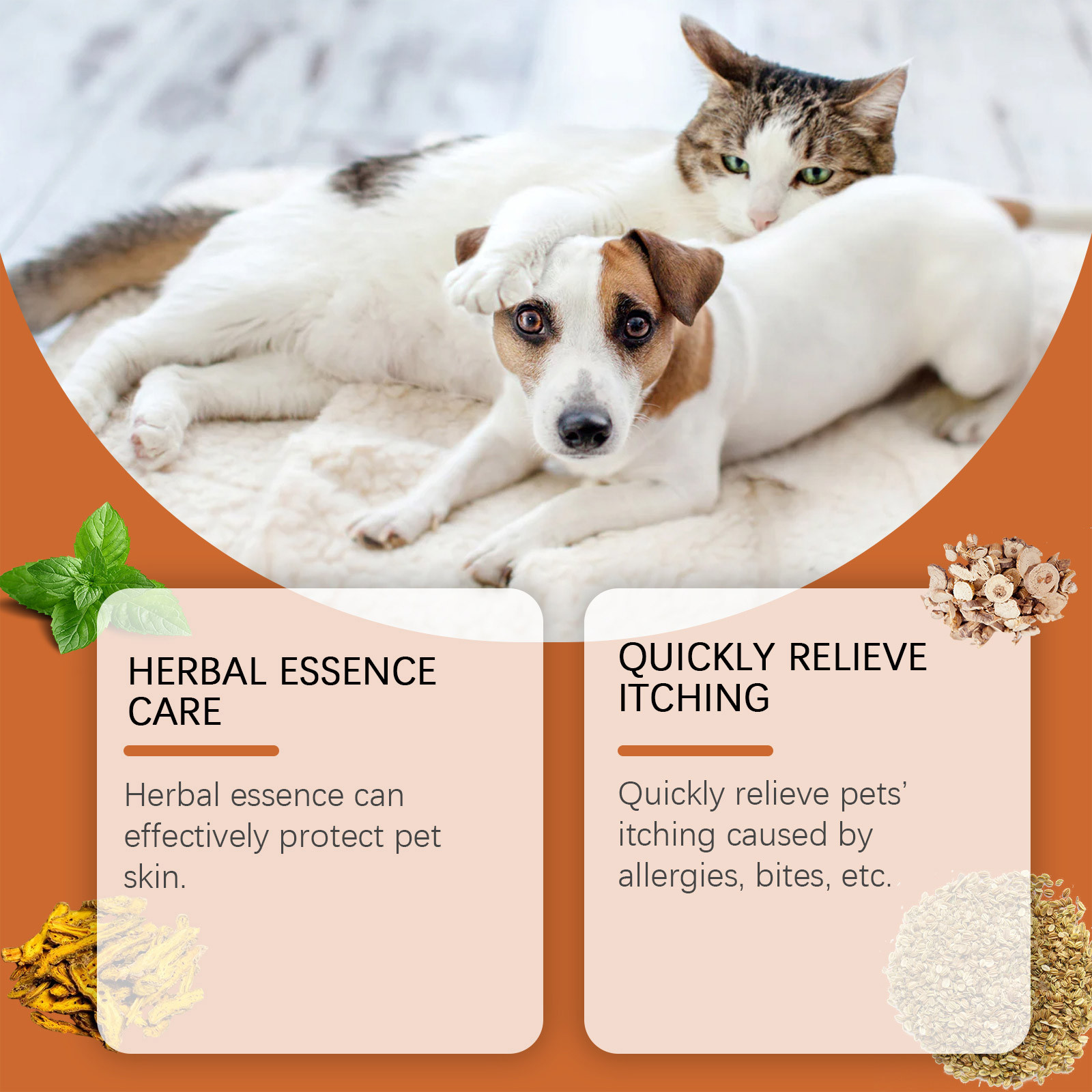 Neue Pet Antiitch Antiallergis – Skincare Animate Bewertung und Preis