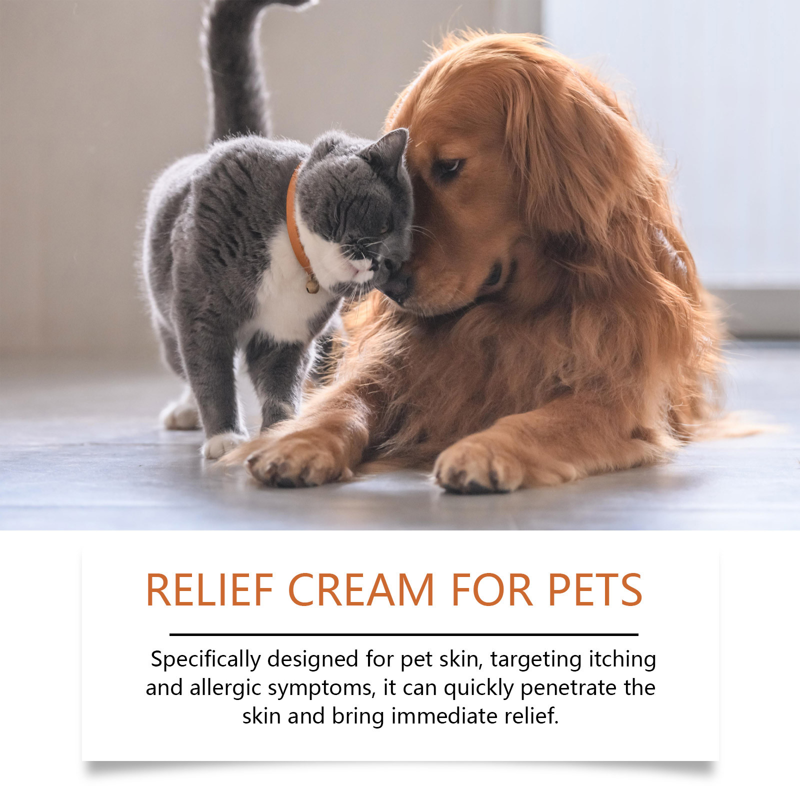 Neue Pet Antiitch Antiallergis – Skincare Animate Bewertung und Preis